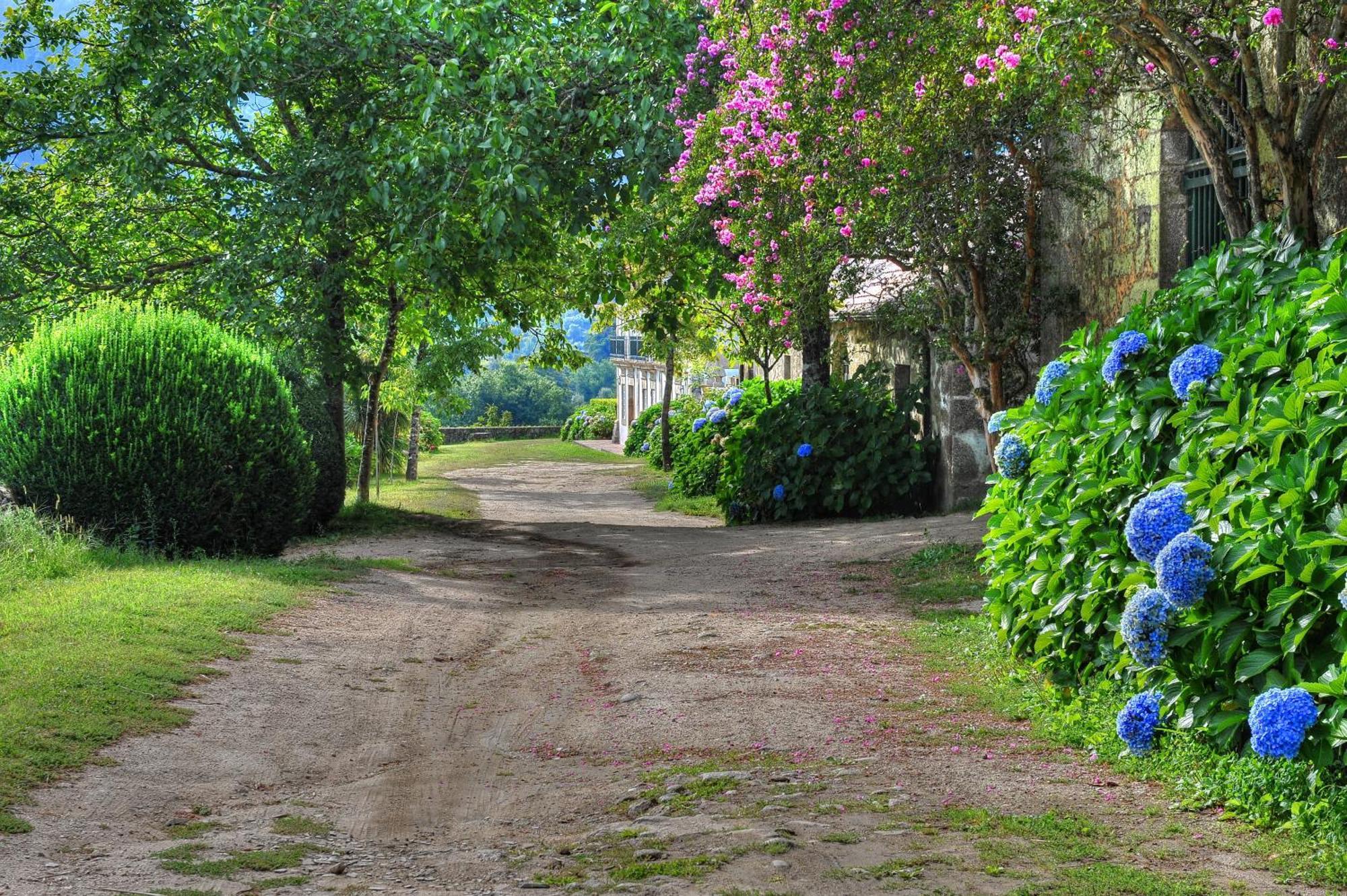 Quinta De Luou Villa Santa Cruz do Lima ภายนอก รูปภาพ