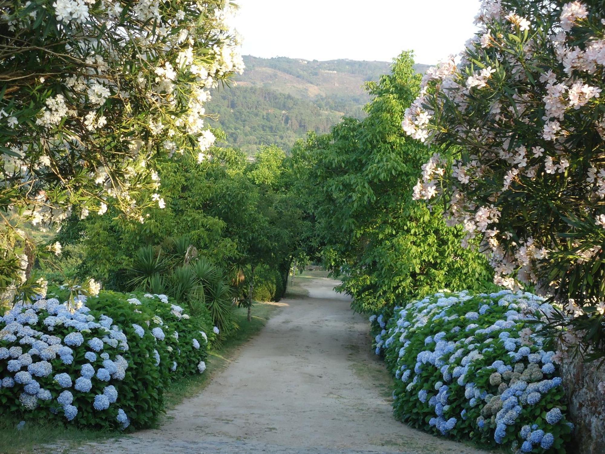 Quinta De Luou Villa Santa Cruz do Lima ภายนอก รูปภาพ